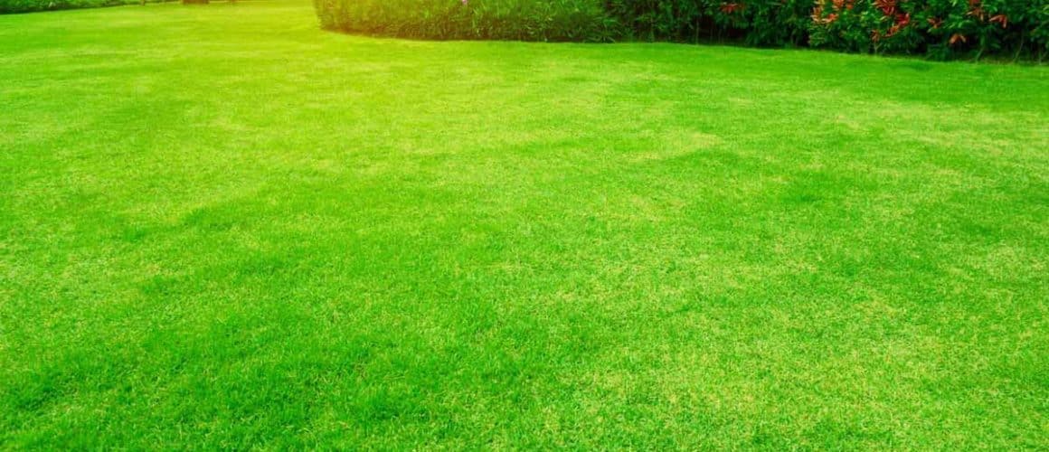 7 Common Mistakes To Avoid When Installing Artificial Grass