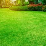 7 Common Mistakes To Avoid When Installing Artificial Grass